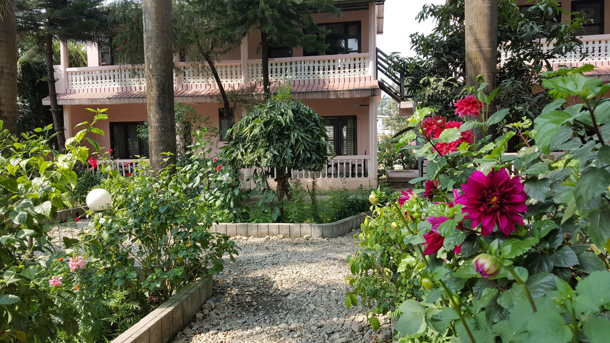 Hotel Ama Garden Sauraha Exterior foto