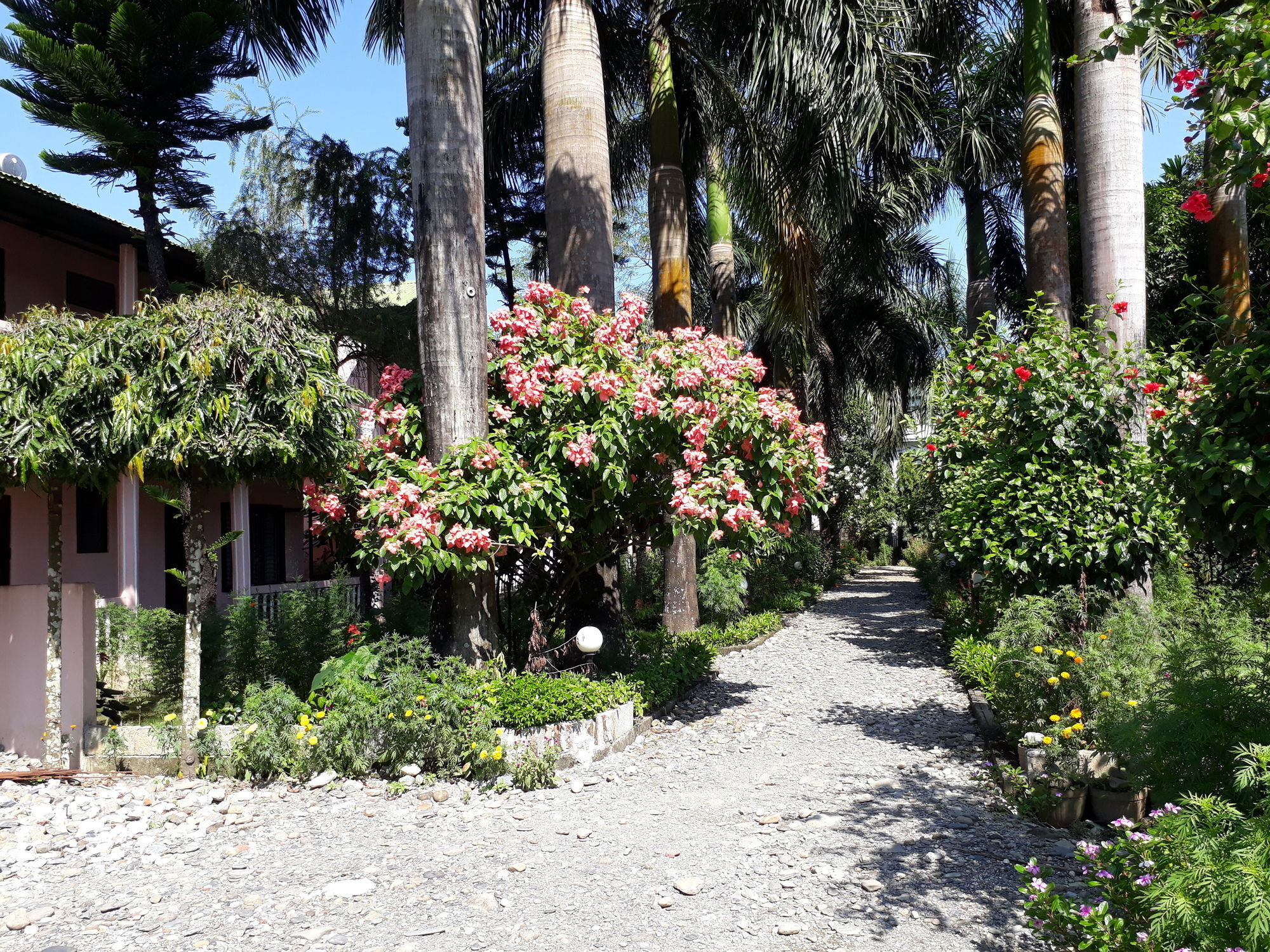 Hotel Ama Garden Sauraha Exterior foto