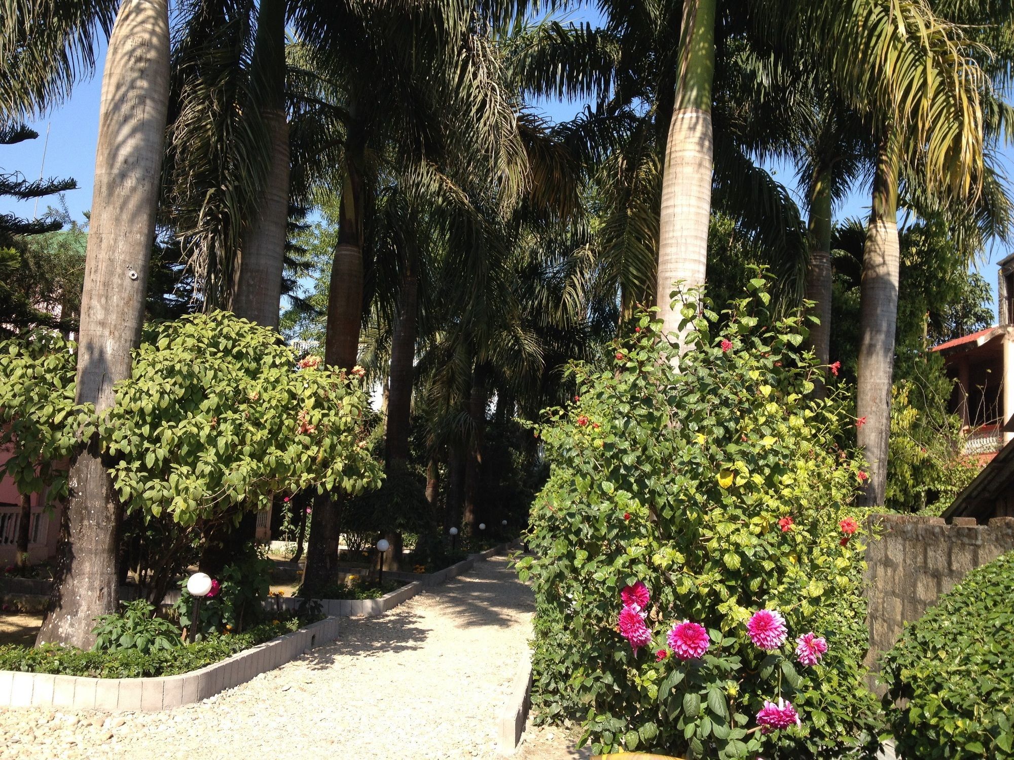 Hotel Ama Garden Sauraha Exterior foto