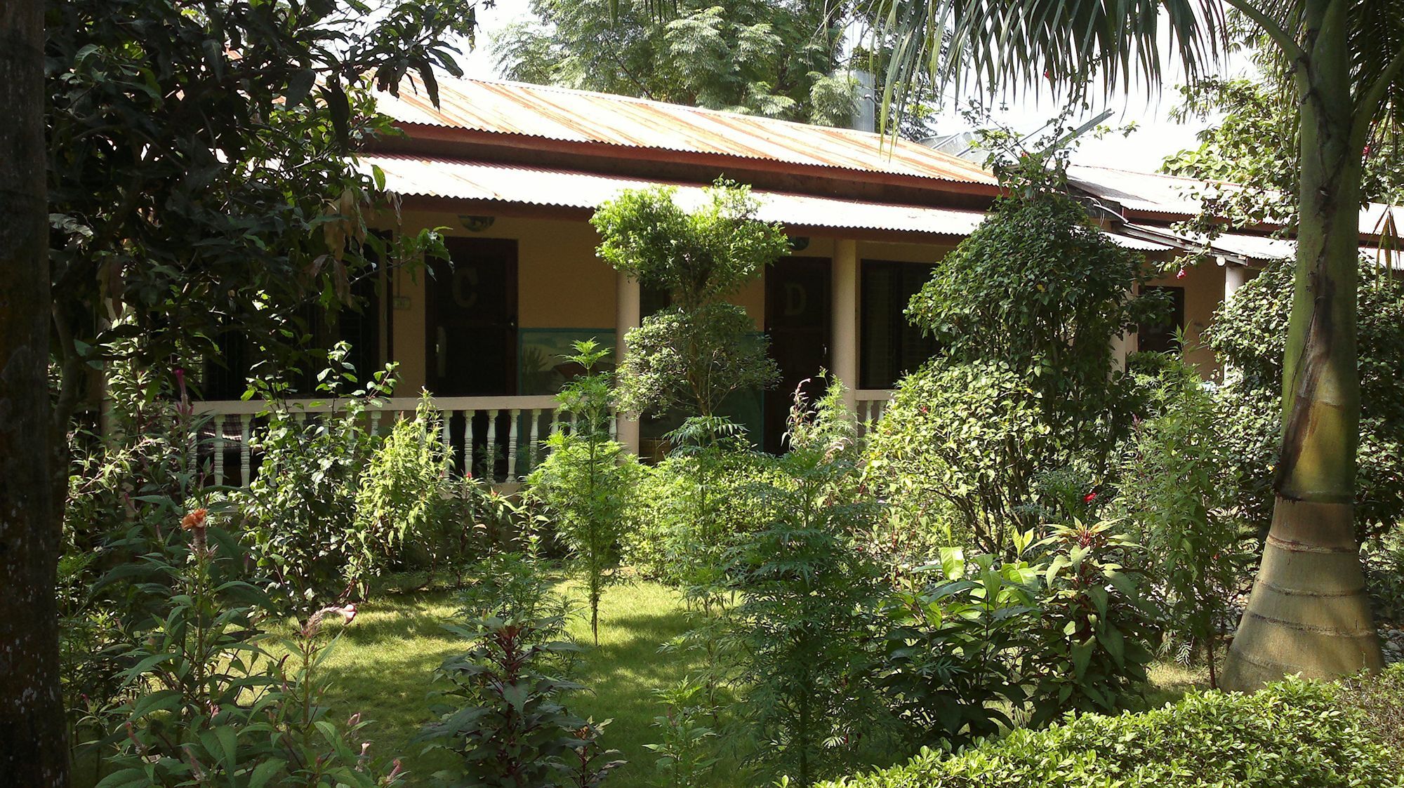 Hotel Ama Garden Sauraha Exterior foto