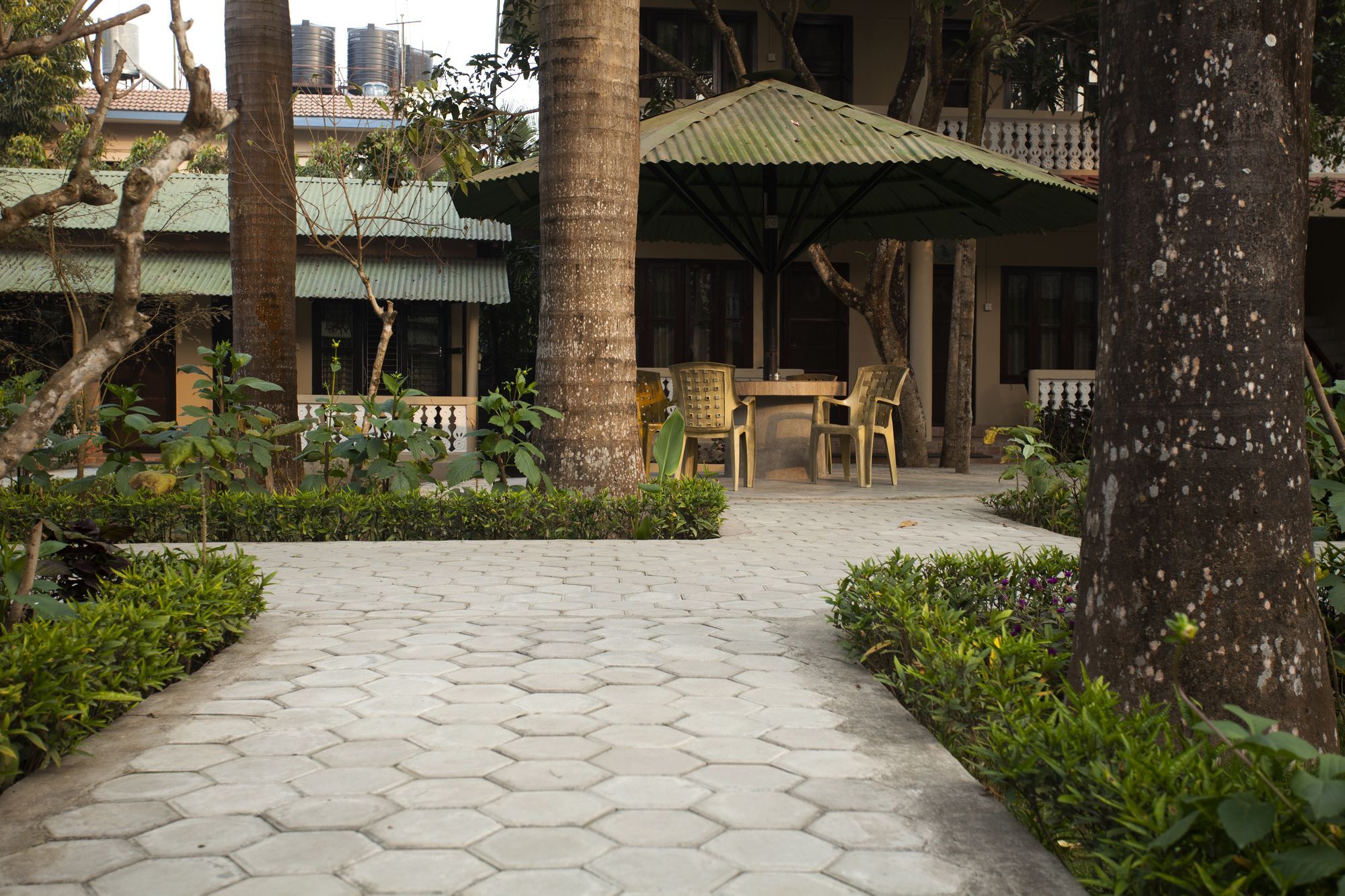 Hotel Ama Garden Sauraha Exterior foto